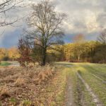 Trainierbahn im Herbst