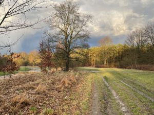 Trainierbahn im Herbst